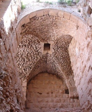 Thumbnail image for Pictures/CompanyProfileLargeImageGallery/23052012_023302Ajloun (6).jpg