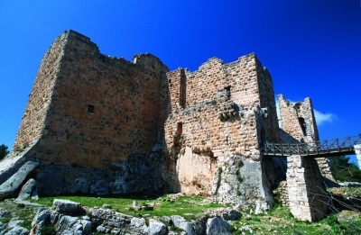 Thumbnail image for Pictures/CompanyProfileLargeImageGallery/23052012_023529Ajloun (14).jpg