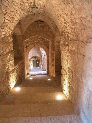 Thumbnail image for Pictures/CompanyProfileLargeImageGallery/23052012_023632Ajloun (16).jpg