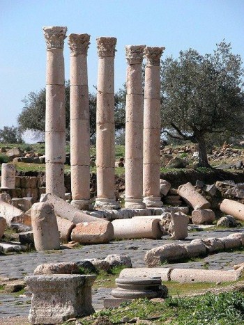 Thumbnail image for Pictures/CompanyProfileLargeImageGallery/24052012_010758Umm Qais (5).jpg