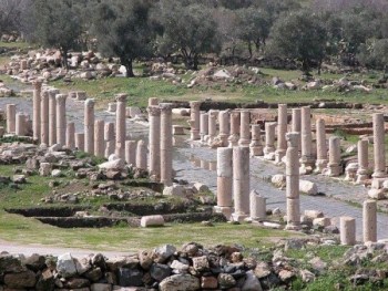 Thumbnail image for Pictures/CompanyProfileLargeImageGallery/24052012_010908Umm Qais (7).jpg