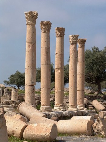 Thumbnail image for Pictures/CompanyProfileLargeImageGallery/24052012_010916Umm Qais (8).jpg