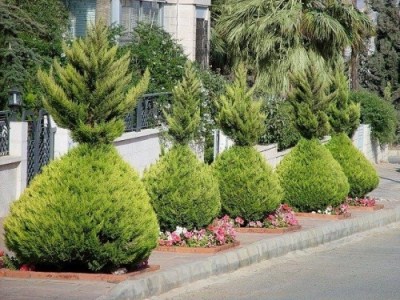 Thumbnail image for Pictures/CompanyProfileLargeImageGallery/24052012_094508Amman(17).jpg