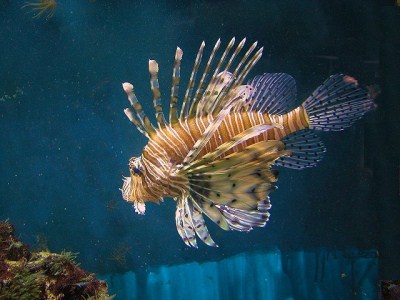 Thumbnail image for Pictures/CompanyProfileLargeImageGallery/24052012_102424Aqaba (5).jpg