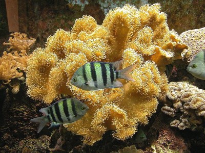 Thumbnail image for Pictures/CompanyProfileLargeImageGallery/24052012_102431Aqaba (6).jpg