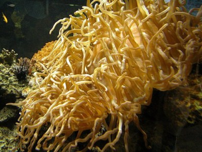 Thumbnail image for Pictures/CompanyProfileLargeImageGallery/24052012_102447Aqaba (8).jpg