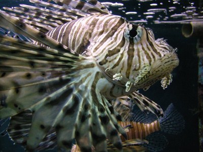 Thumbnail image for Pictures/CompanyProfileLargeImageGallery/24052012_102510Aqaba (11).jpg