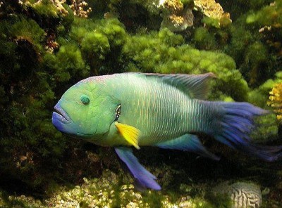 Thumbnail image for Pictures/CompanyProfileLargeImageGallery/24052012_102523Aqaba (12).jpg