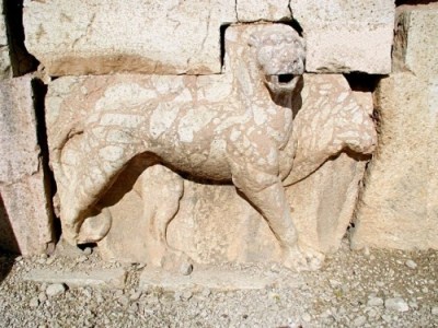 Thumbnail image for Pictures/CompanyProfileLargeImageGallery/24052012_105032Iraq Al Amir (3).jpg