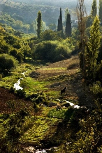 Thumbnail image for Pictures/CompanyProfileLargeImageGallery/24052012_105042Iraq Al Amir (5).jpg