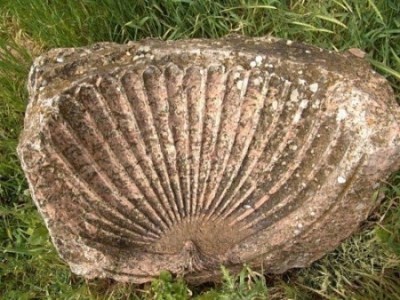 Thumbnail image for Pictures/CompanyProfileLargeImageGallery/24052012_105503Jerash (14).jpg