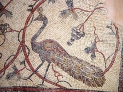 Thumbnail image for Pictures/CompanyProfileLargeImageGallery/24052012_113058Mount Nebo (8).jpg