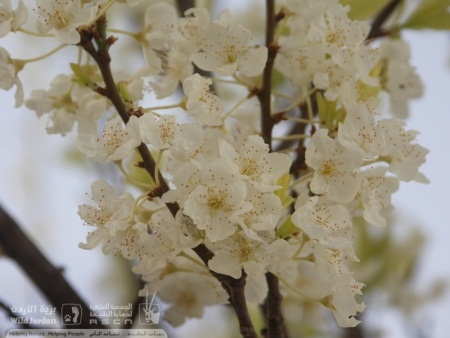 Thumbnail image for Pictures/CompanyProfileLargeImageGallery/24052012_115657(8).jpg