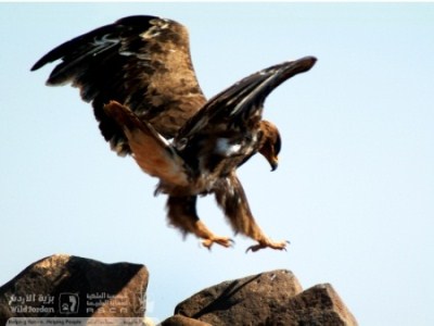 Thumbnail image for Pictures/CompanyProfileLargeImageGallery/24052012_115934(20).jpg