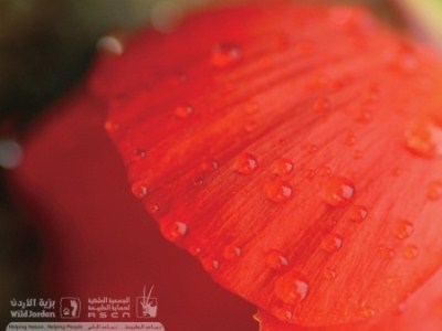 Thumbnail image for Pictures/CompanyProfileLargeImageGallery/24052012_115954(22).jpg