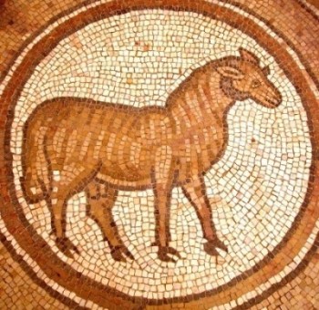 Thumbnail image for Pictures/CompanyProfileLargeImageGallery/24052012_123306Petra (31).jpg