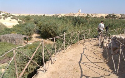Thumbnail image for Pictures/CompanyProfileLargeImageGallery/24052012_125932Baptism site (12).jpg