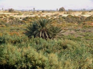 Thumbnail image for Pictures/CompanyProfileLargeImageGallery/24052012_125939Baptism site (13).jpg